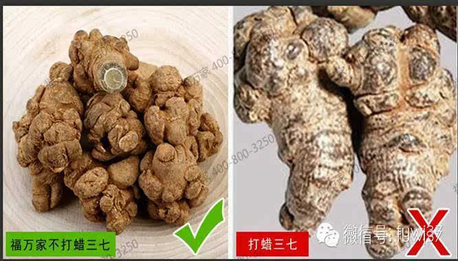 文山福万家教您最简单的三七鉴别法