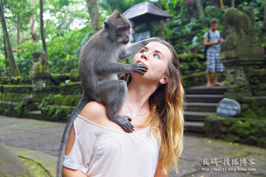 猴子抓女游客图片