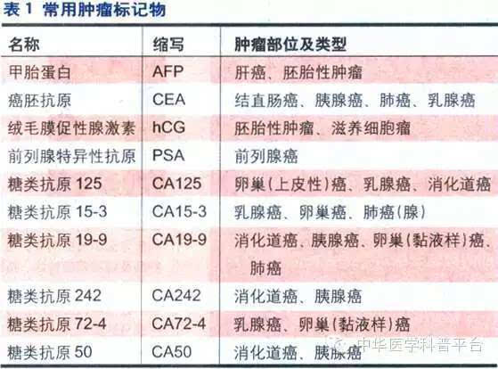 肿瘤指标中神经元异性烯醇化酶_神经元特异性烯醇化酶英文_神经元特异性烯醇化酶测定偏高