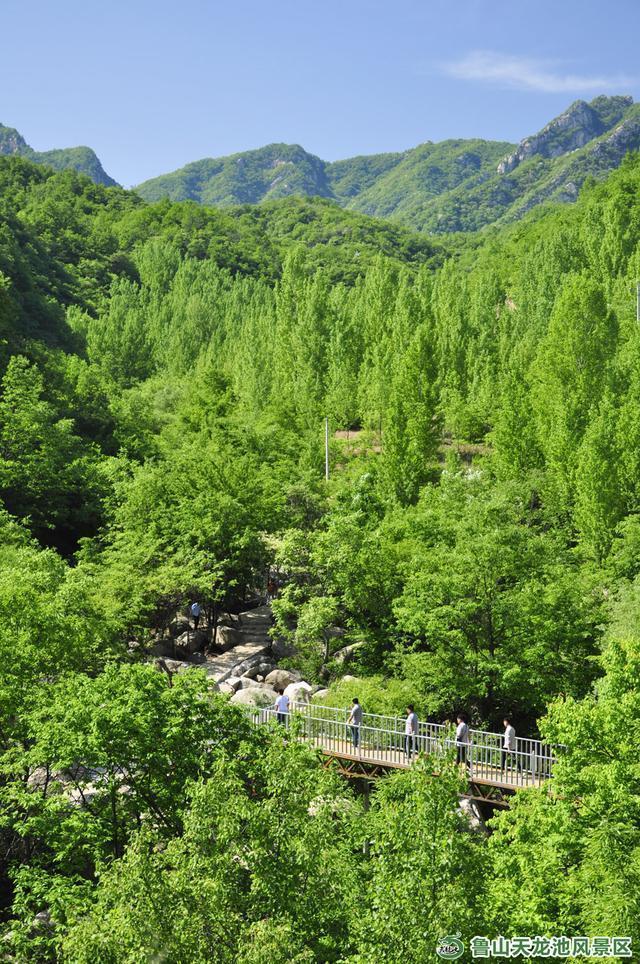 持续一个月鲁山这家景区推出免门票政策将惠及一亿河南人