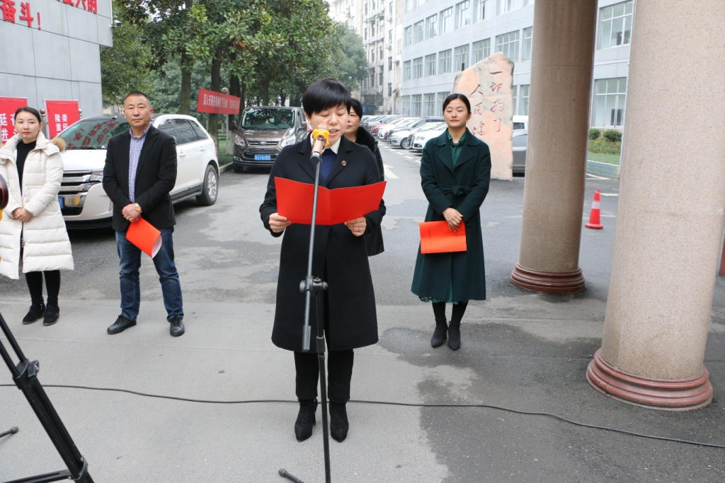 桃源县人民政府副县长汤赛男讲话