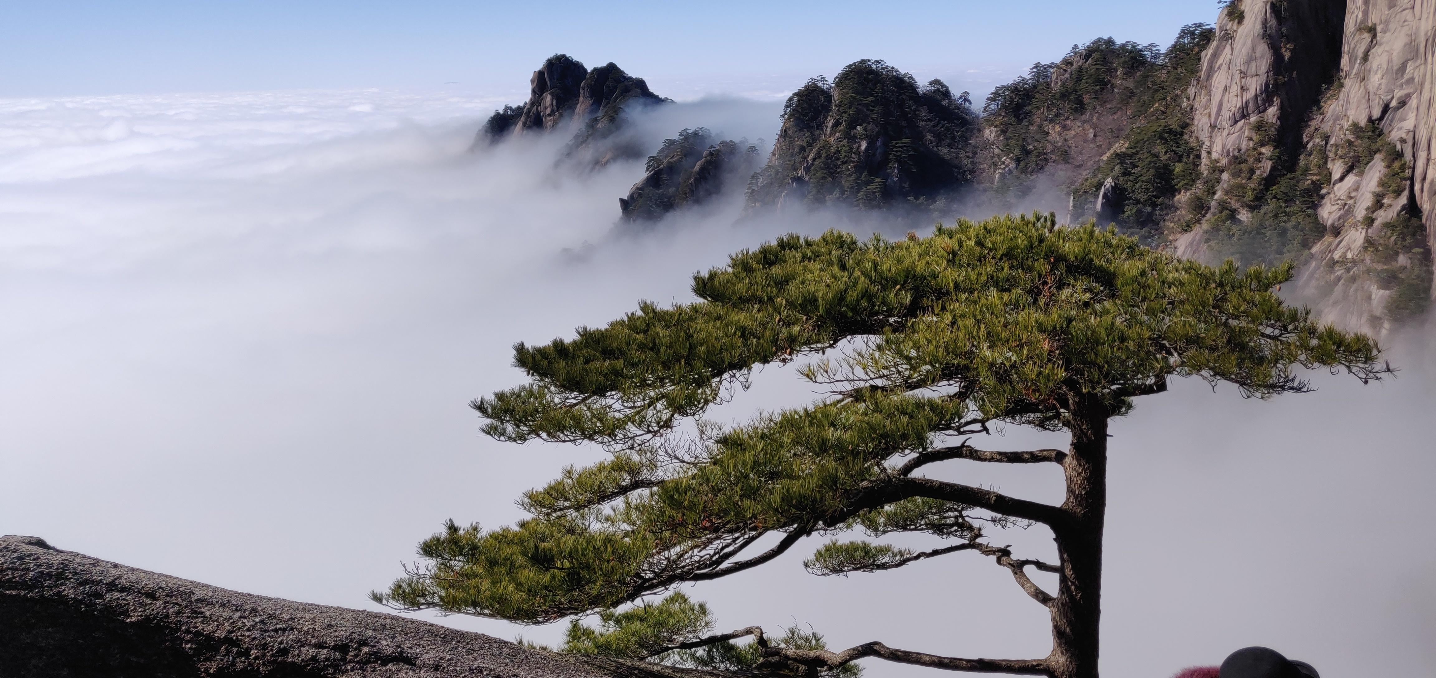 黄山:云海与雾淞同框竞秀 如国画般壮美瑰丽