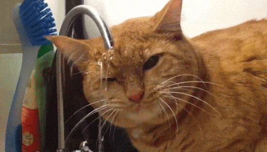 怕变黑,这些食物不要吃!-搜狐新闻