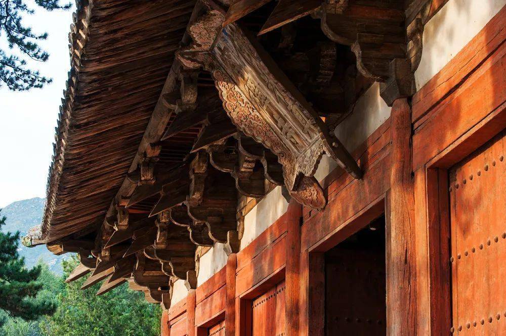 穿越时间|千年一寺看佛光,东大殿还是"婴儿"