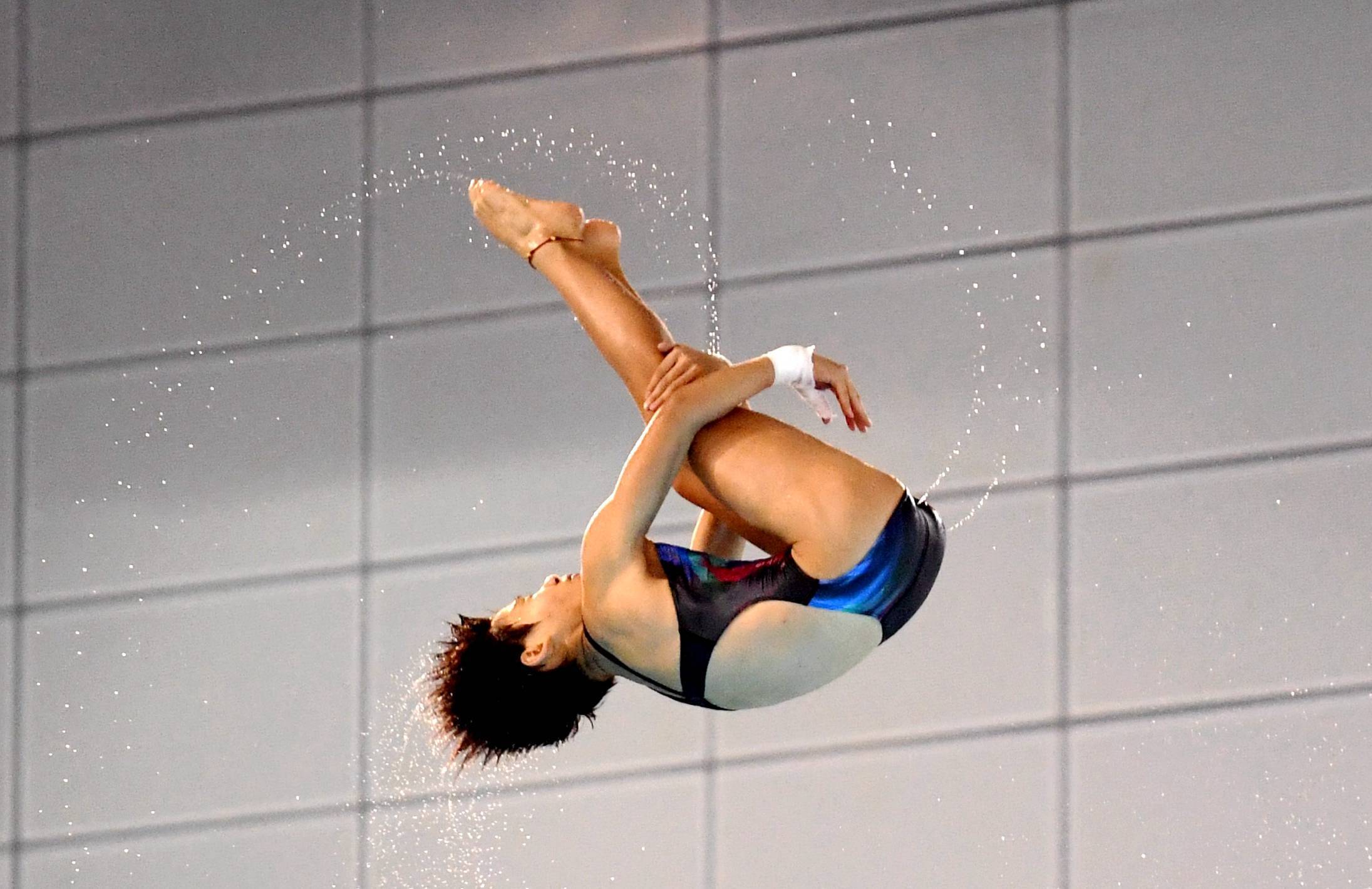 跳水—全国冠军赛:女子十米跳台预赛赛况
