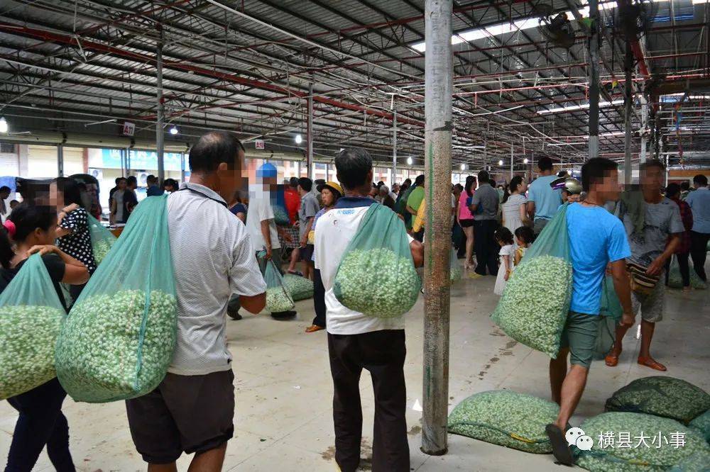 厉害了！最近，横县有这些 喜事！···你知道么？