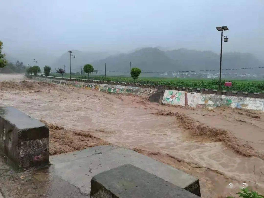 西乡,镇巴,洋县.