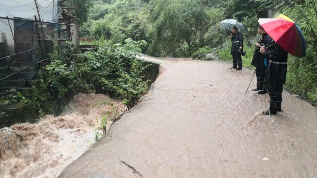 西乡,镇巴,洋县.