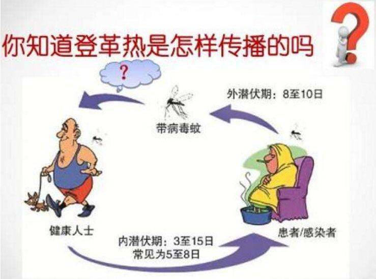 每年的7～10月是我省蚊媒传染病发病高峰。登革热是由登革病毒引起的急性