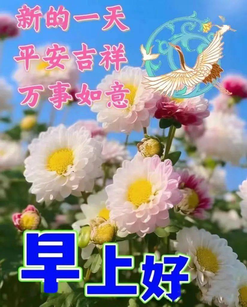 早上好清新鲜花图片