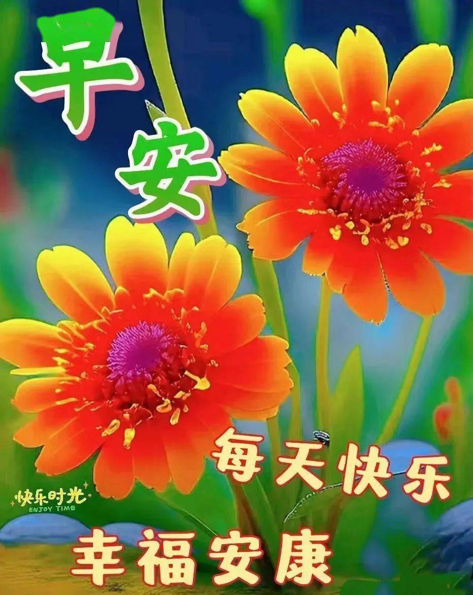 央视新闻客户端漂亮的早上好精美鲜花图片带字早安祝福清晨群发最好的