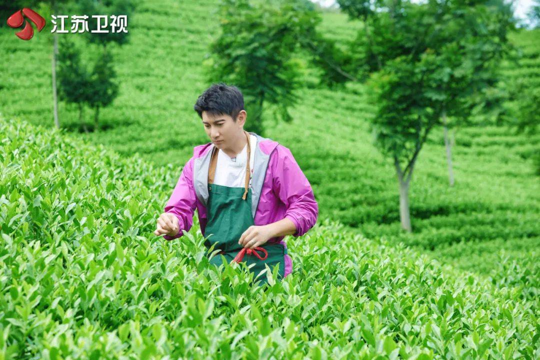 【文艺评论】《舌尖上的乡村》：探寻特色乡村宝藏美食，讲述乡村振兴多彩故事